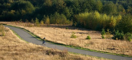 A biker rides along a paved trail through a field
