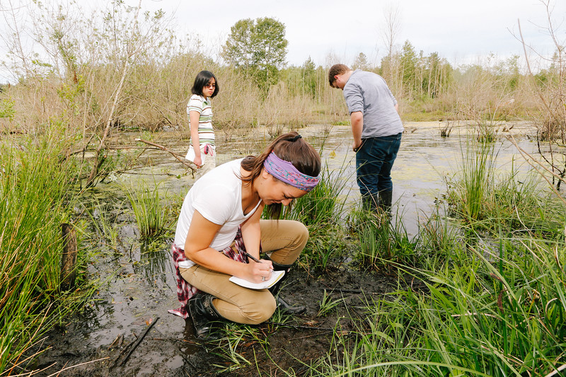 Students doing a field survey in the wetland for a class