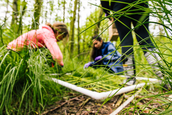 Three students working on the ground in the wetlands.