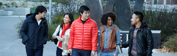 A group of students walking on campus