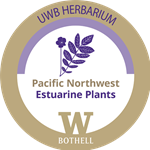 estuarine plants digital badge