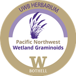 wetland graminoids digital badge