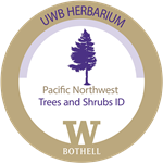 trees and shrubs digital badge