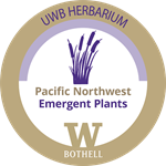 emergent plants digital badge