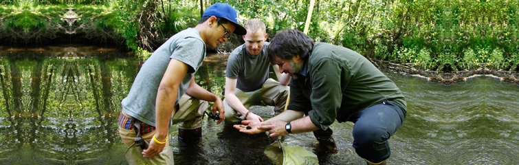 students and a professor in the wetland creek