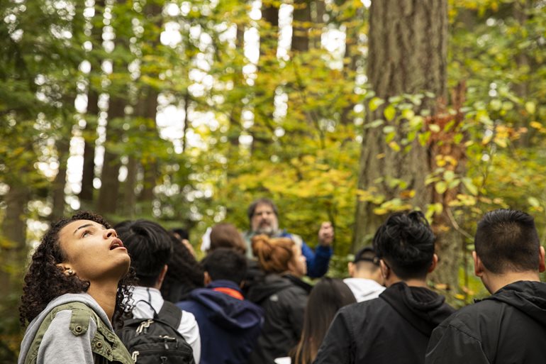 Students gathered in a forest.