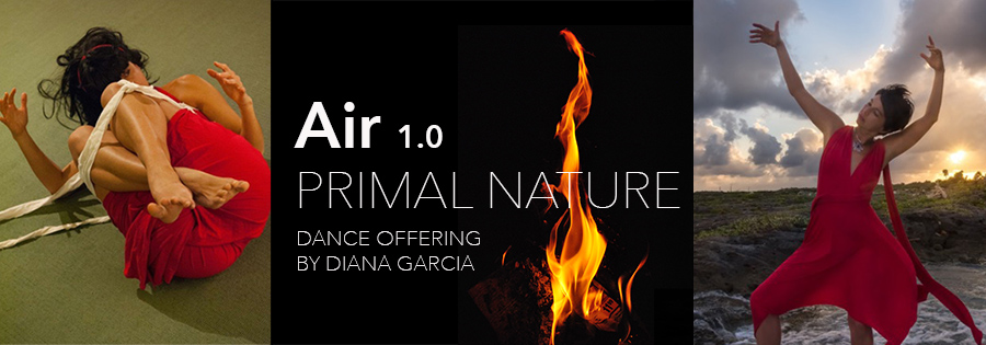 Banner image for Air 1.0 featuring Diana Garcia Snyder