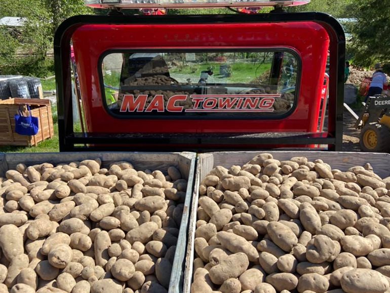 Truckload of potatoes