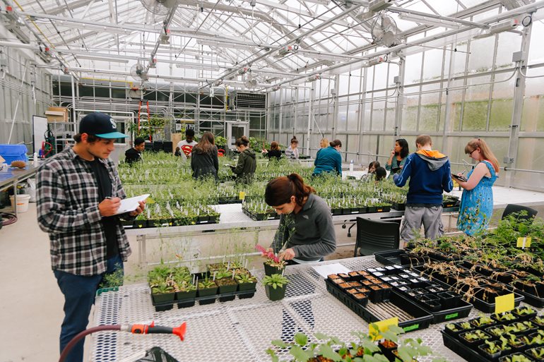 Students working in the greenhouse.