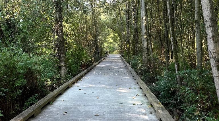 walkway to the wetlands platform