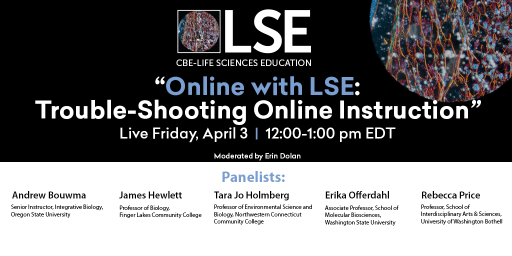 Online with LSE flyer
