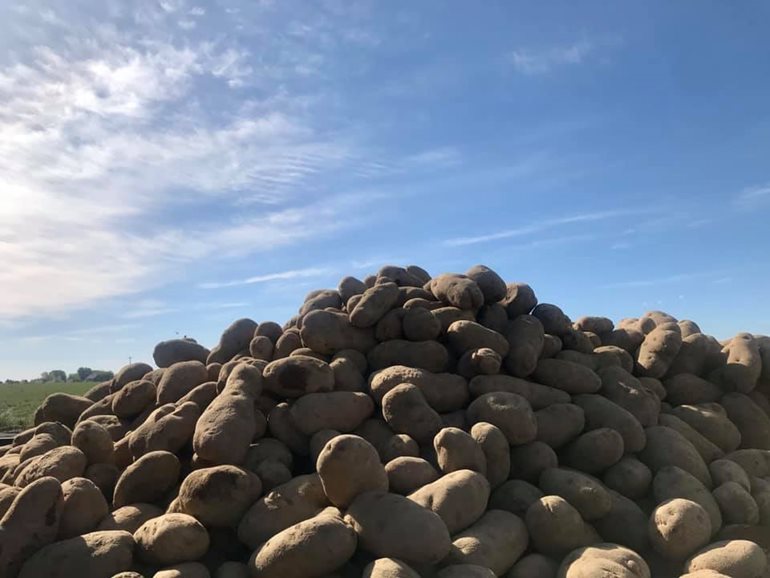Mound of potatoes
