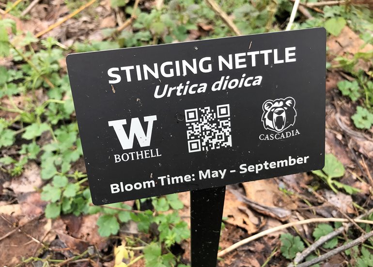 Stinging nettle tag